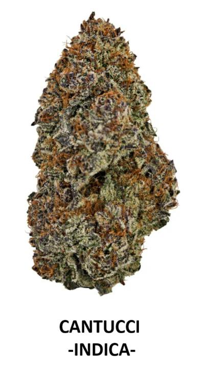 Cappellano Cannabis Co. : Organic Cantucci - 3.5g