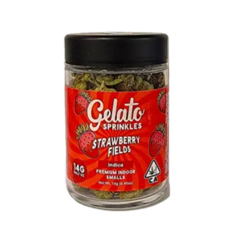 Gelato - Gelato - Sprinkles - Strawberry Fields