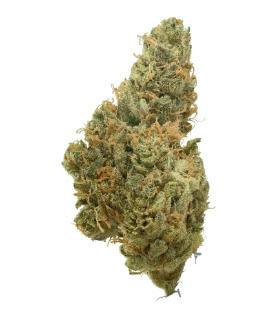 Blue Lotus | TRU Smoke