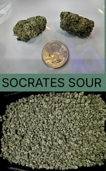 Socrates Sour | 1oz | Pre-Packed | Sunfire Farms