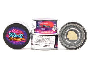 MELTED ROOTS - — Bho - Gush Mintz