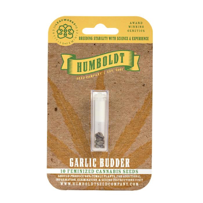 California Haze [10pk] | Humboldt Seed Company - Feminized Seeds