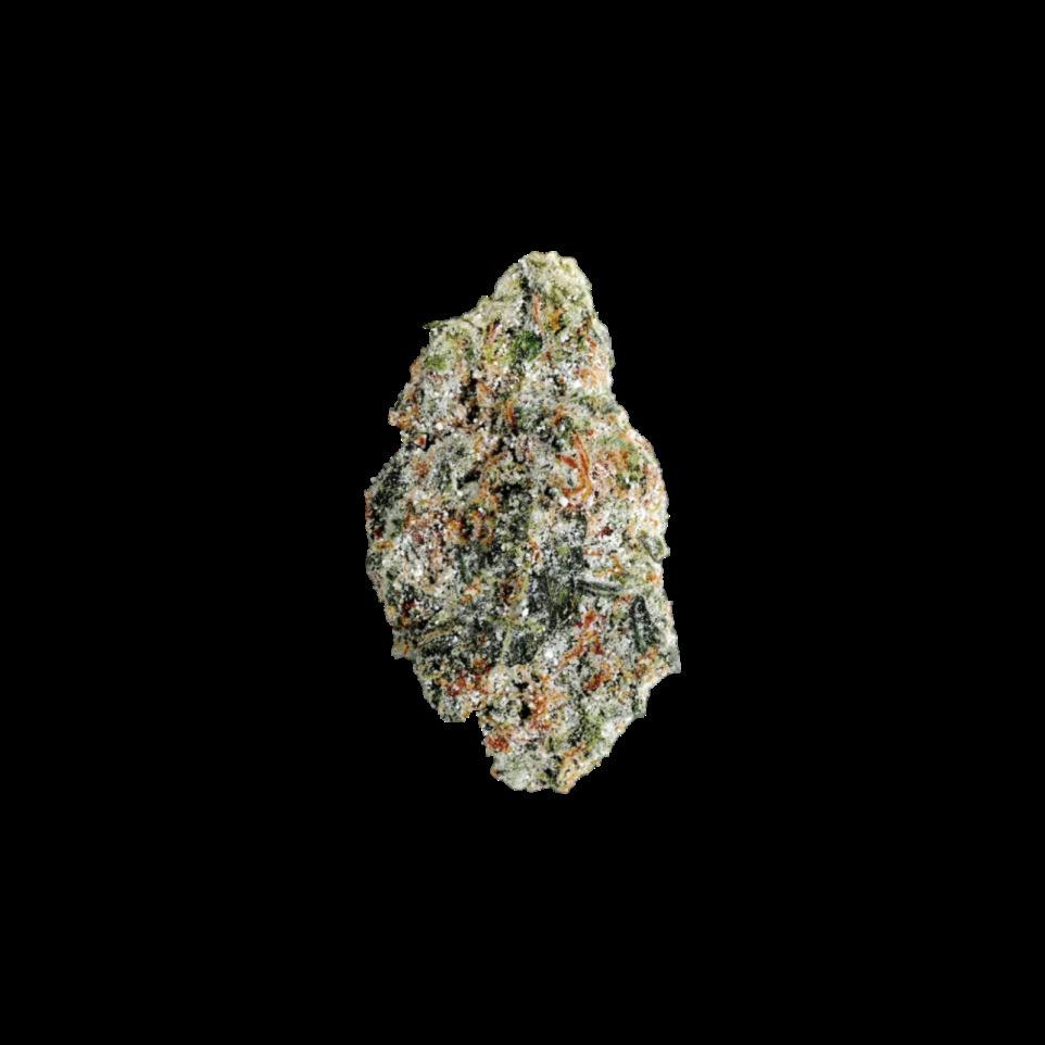 GUUROCK | PURPLE | INDICA | INFUSED FLOWER | REC