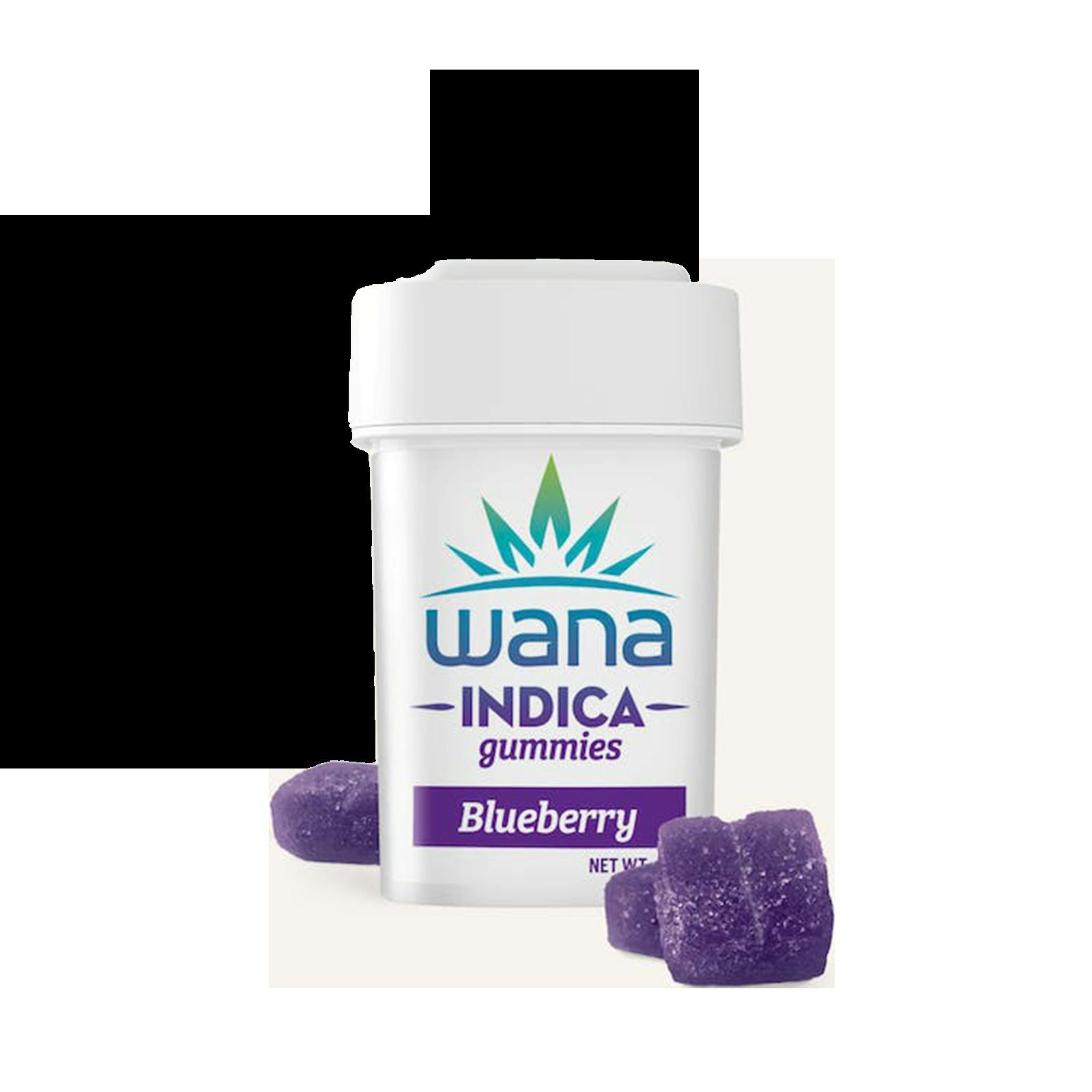 Blueberry Gummies - (20mg Each | 200mg Total)