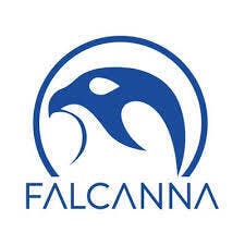 Falcanna Lemon Cookies (SH) Joint 6pk 3.6g by Falcanna