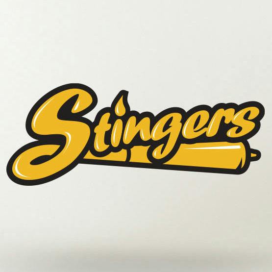 Stingers Space Fruit (H) Infused Joint 2pk .5g by Wamsterdam Farms