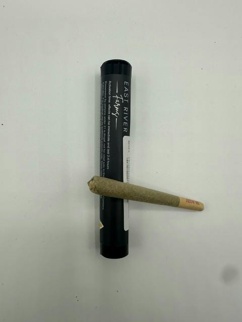 Blue Dream 0.5g 2pk PR