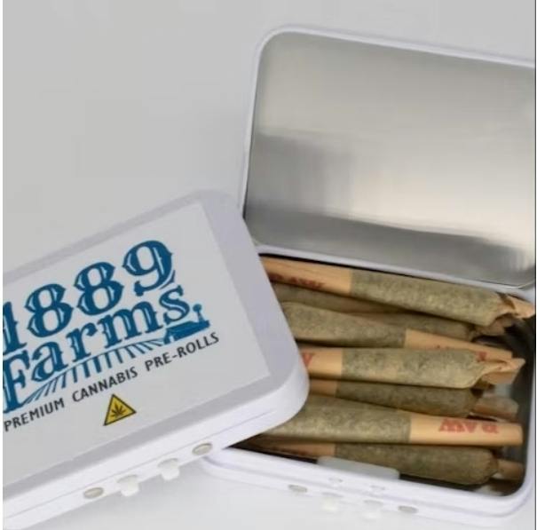 Senator's Choice 0.5g 10pk PR