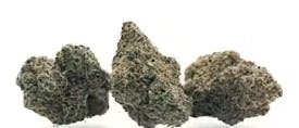 Alien OG