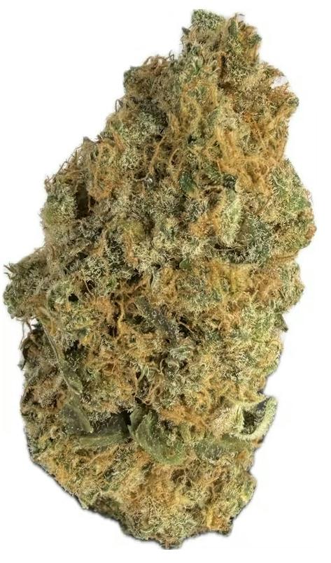 Bubble's Blueberry