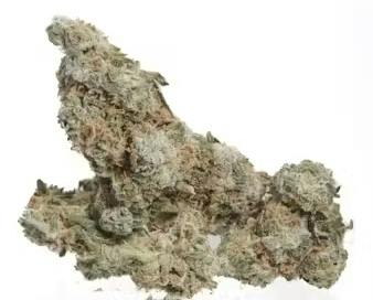 White Russian $100 Oz