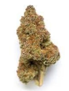 Black Cherry $100 Oz