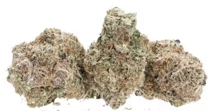 Gruntz $100 Oz