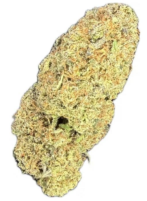 Blue Blooded Haze