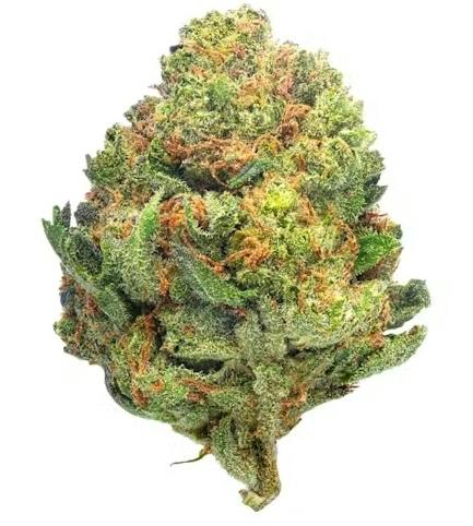 Butter Cheese