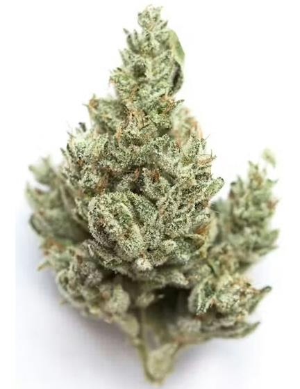 Legend Haze $100 Oz