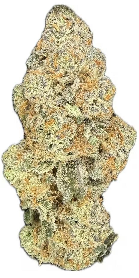 Permanent Marker $100 Oz