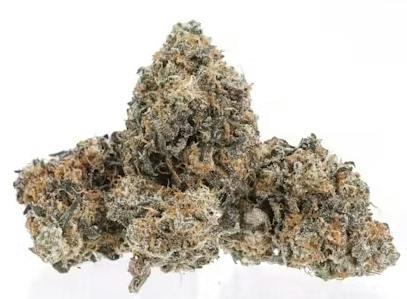 Loud Cake