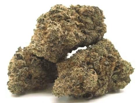 Fantom Fuel $100 Oz