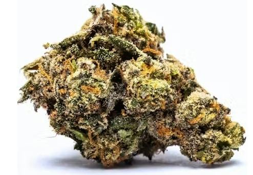Sherb Cream Pie