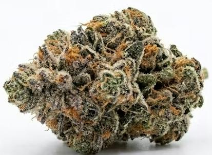 Tahoe OG