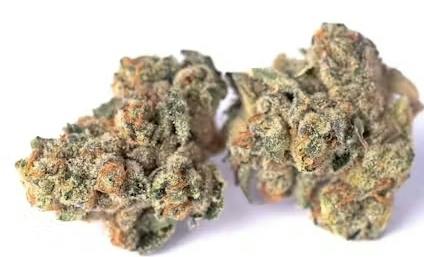 Hot Mint Sundae