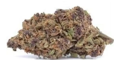 Lilac Diesel