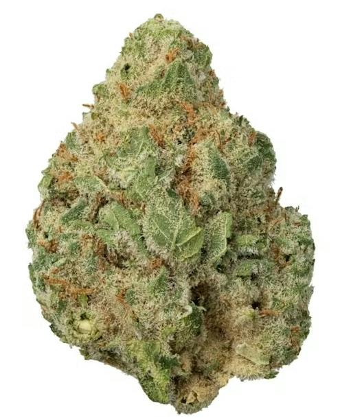 Strawberry Guava BX