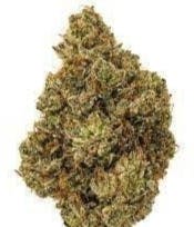 Ocean Eye's $100 Oz