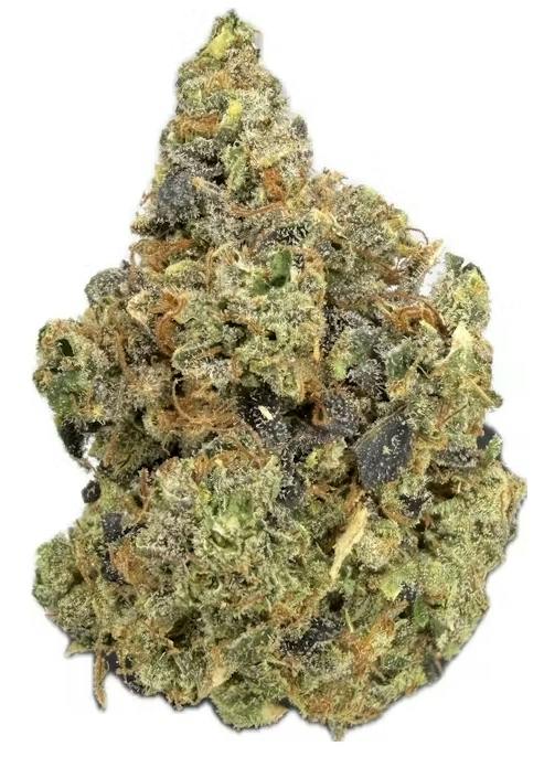 Miss Clementine x Sour Diesel