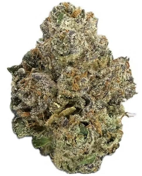Double Lemon Cherry Gelato | BULK | Pure Bliss