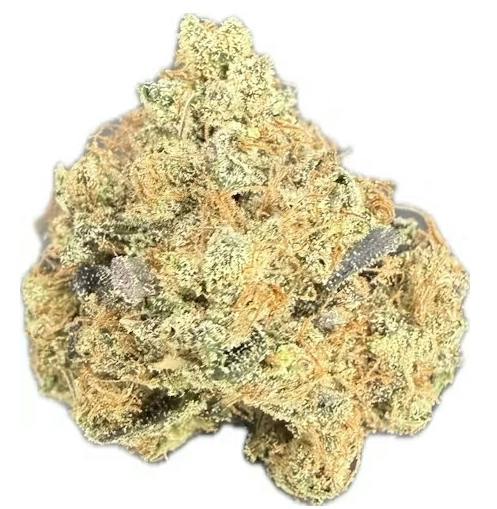 Sour Diesel x GMODD