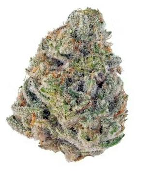 IHopz $100 Oz