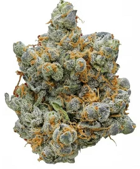 Z x ZChem