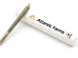 Atlantic Farms-Super Joint-Infused-1.2g