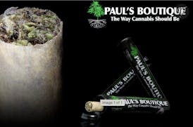 Paul's Boutique-Georgia Pie-Preroll-1g