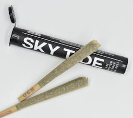 Skytide-Strawnana-Preroll-1g