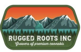Rugged Roots-GMO-Shatter-1g