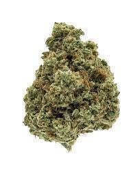 Bold Cultivation Pinata Premium 3.5g