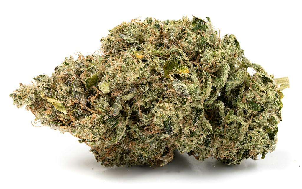 Carpenter Medical Group Zookies Premium 3.5g
