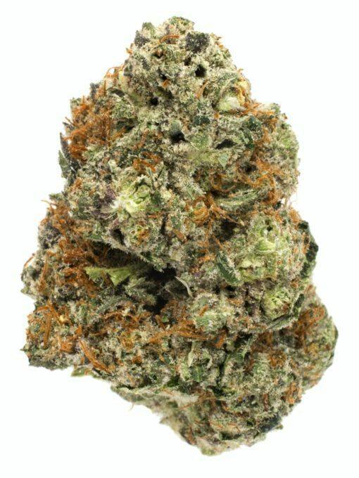 Bold Cultivation Strawberry Shortcake Premium 3.5g