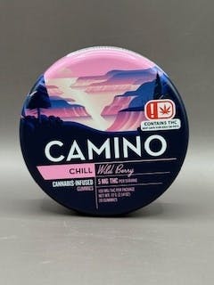Camino 100mg Chill Wild Berry
