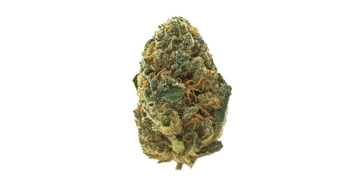 PH PP #11 7g Pre-Pack cannabis product