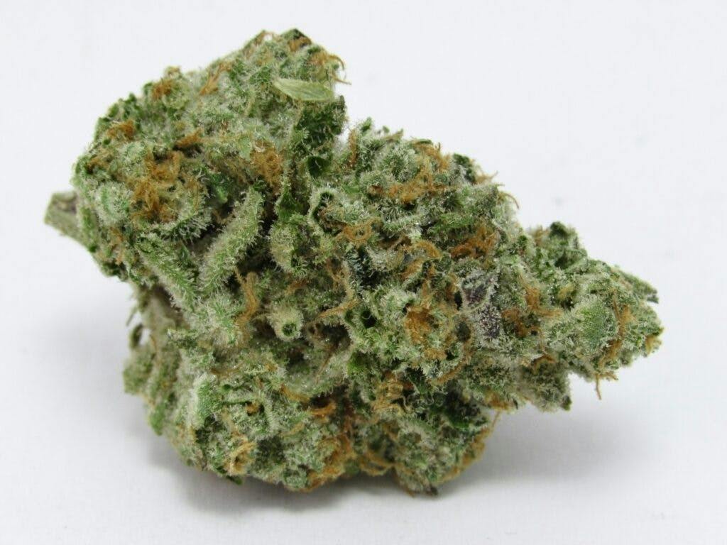 Country Cannabis 3.5g Georgia Apple Pie cannabis product
