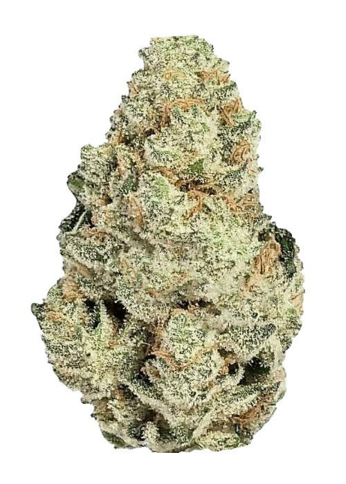 Terp Bunny Lemon Pound Cake X Jealousy 1g Pre Pack