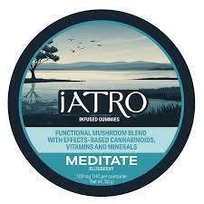 IATRO 100mg Meditate Mushroom Blueberry Gummies