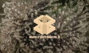 Burly Botanicals - Pre-Packaged Flower - Anaphylaxis (Top)