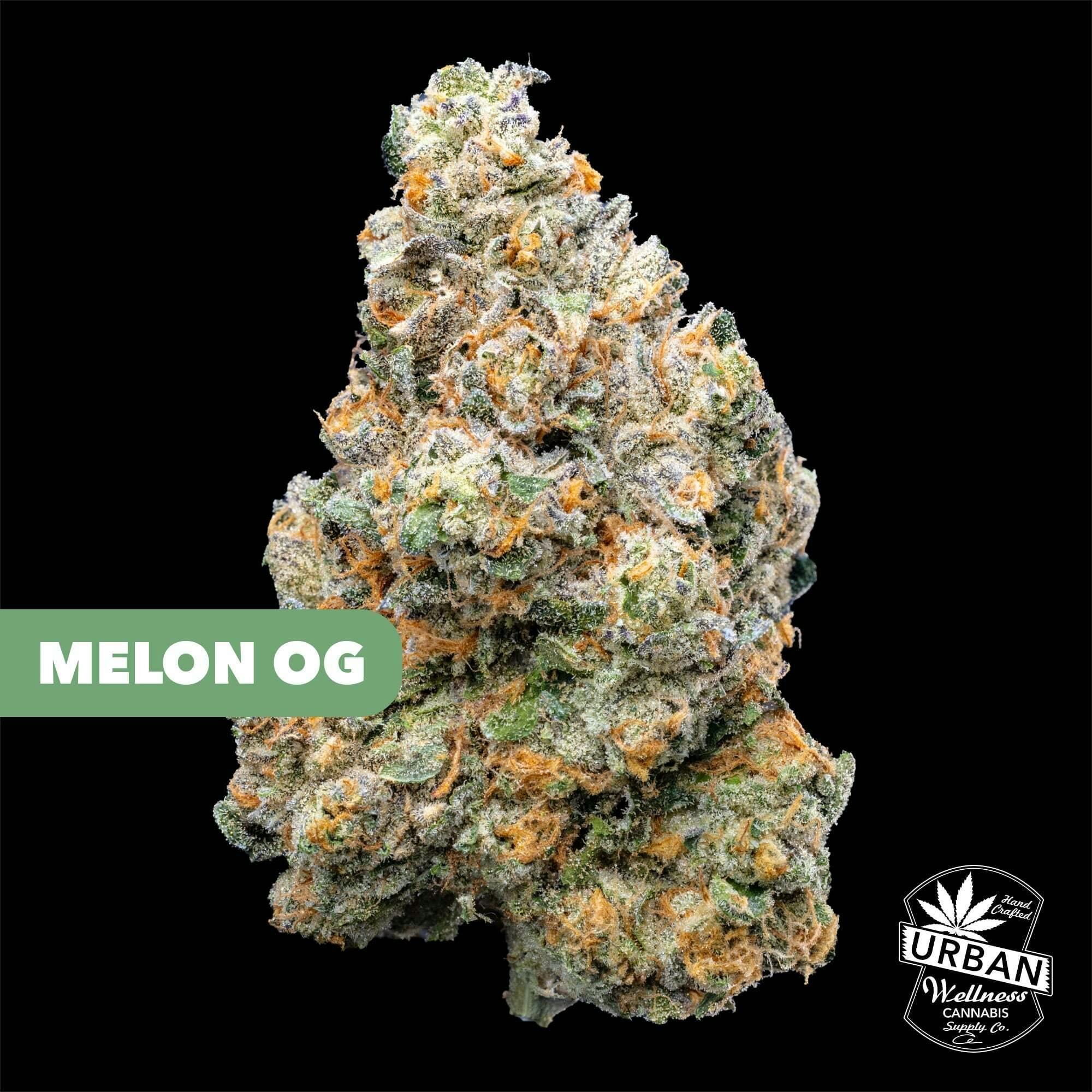 Melon OG | Urban Wellness
