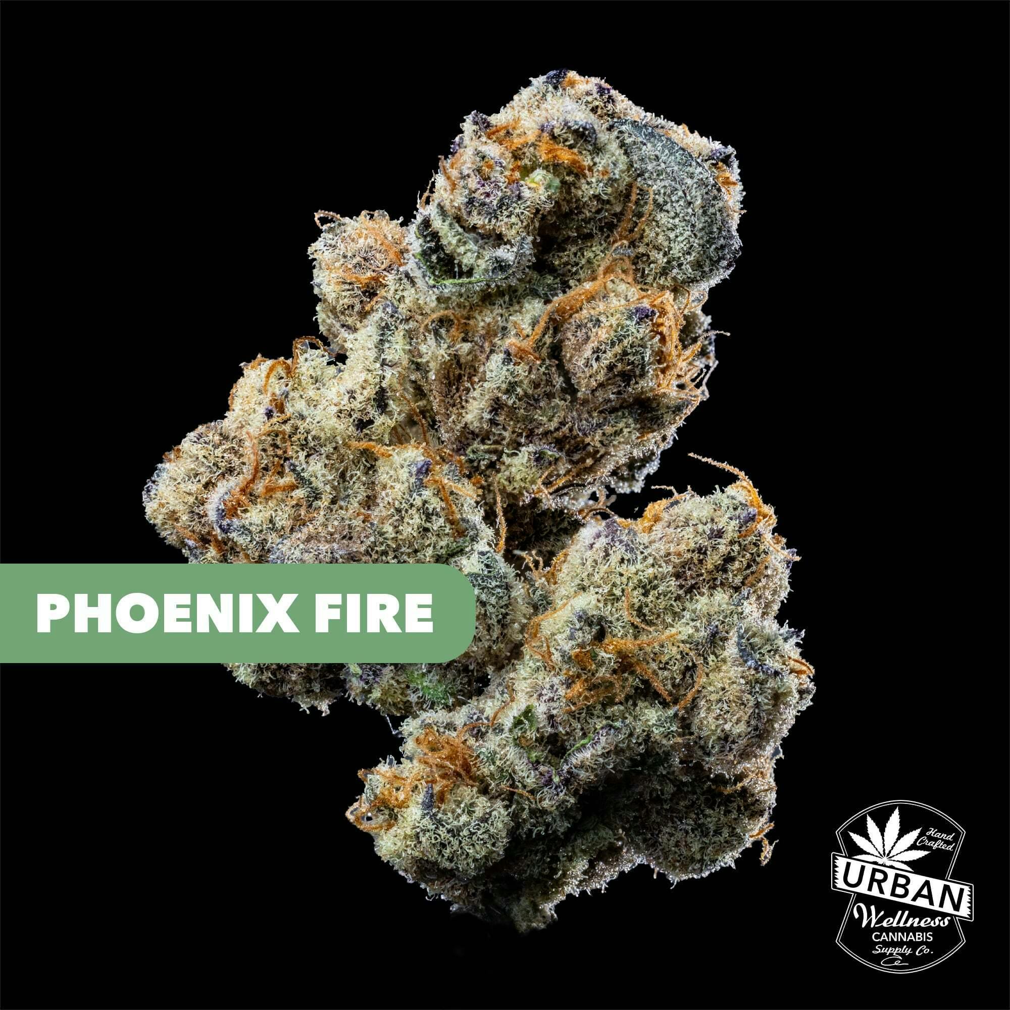 Phoenix Fire | Urban Wellness