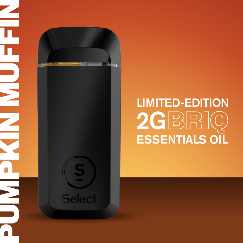 Select Essentials Pumpkin Muffin BRIQ 2g